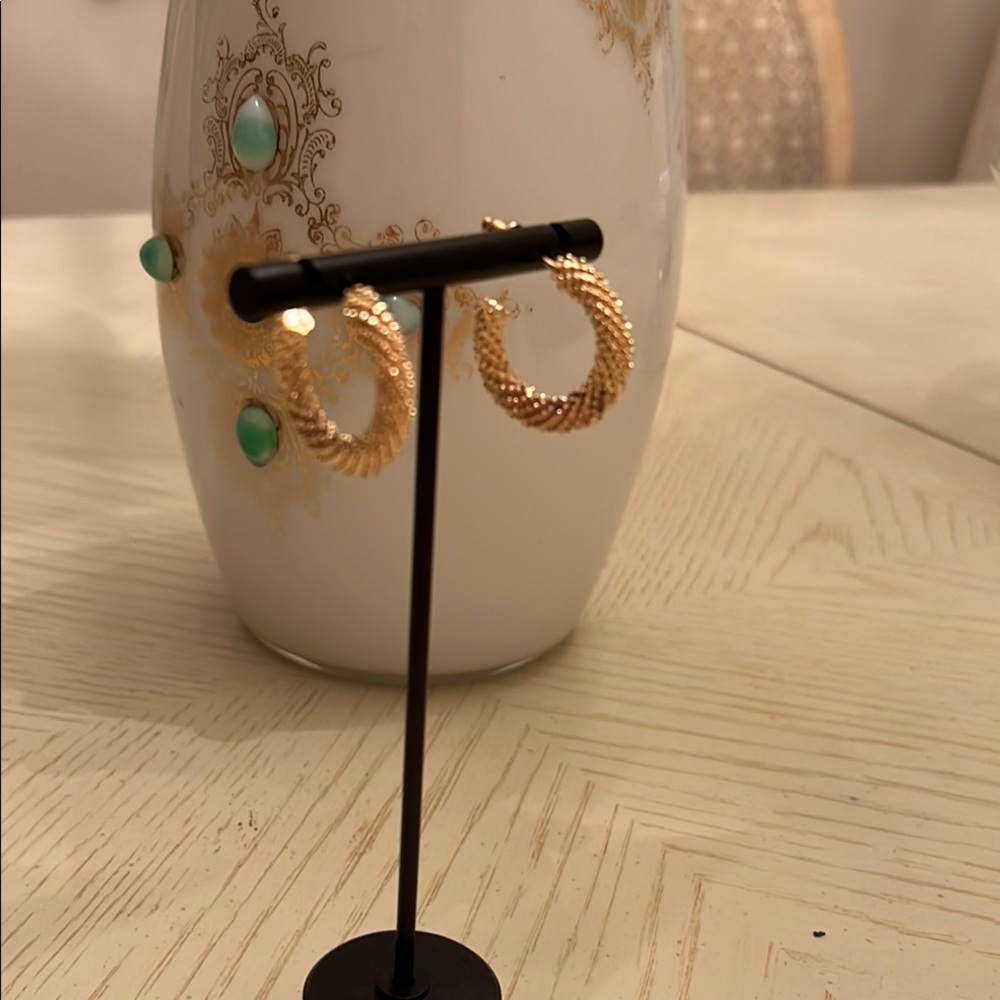 Elegant Gold Hoop Earrings